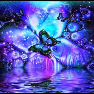 Meet your Posher, Lynn